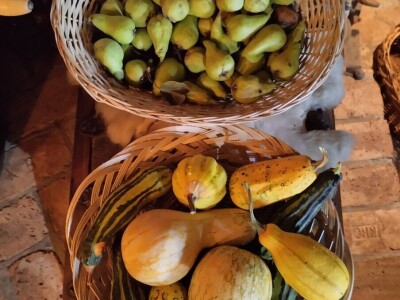 Pčelar Želimir Depoli i energetska neovisnost