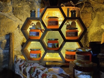 Pčelar Želimir Depoli i energetska neovisnost