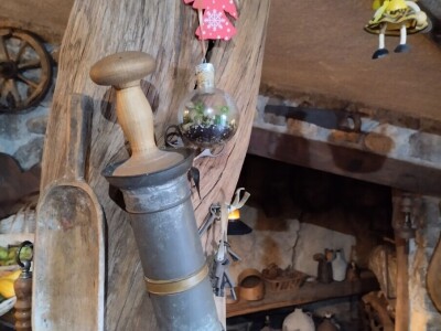 Pčelar Želimir Depoli i energetska neovisnost