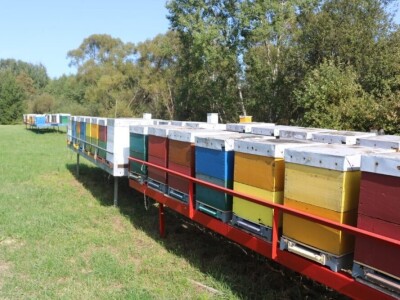 Pčelar Željko Balen Pčelar Željko Balen