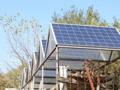 Pčelar Željko Balen Pčelar Željko Balen