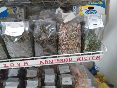 Pčelarenje i ljekovito bilje Pčelarenje i ljekovito bilje