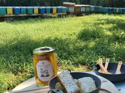 Pčelarev sin