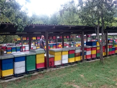 Pčelari Posavine