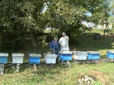 Pčelari u devedesettrećoj Pčelari u devedesettrećoj