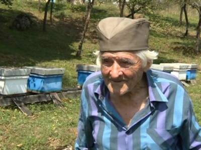 Pčelari u devedesettrećoj Pčelari u devedesettrećoj