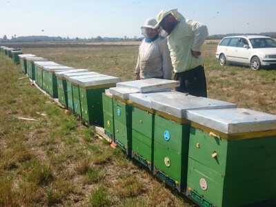 Pripremanje pčelinjakaza zimu