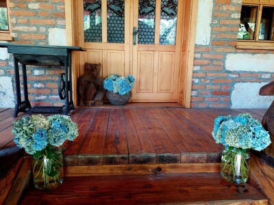 Pčelarka Elizabeth Wilson