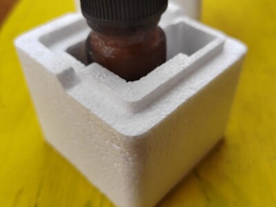 Pčelarka Elizabeth Wilson