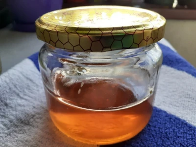 Pčelarska gljiva  - "pčelinji bensedin"