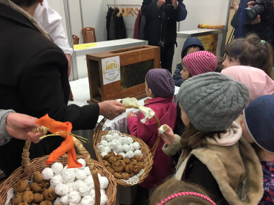 Pčelari, pčelarski stručnjaci i proizvođači pčelarske opreme iz Hrvatske i okruženja okupili se u Vinkovcima