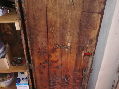 Pčelarski put Željka Ignjatića: Od sanduka za municiju do 200 košnica Pčelarski put Željka Ignjatića: Od sanduka za municiju do 200 košnica