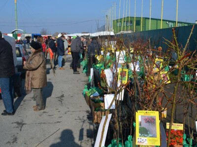 Pčelarski sajam u Gudovcu