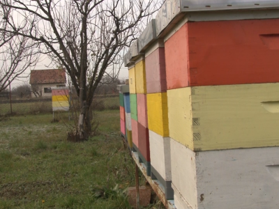 Pčelarsko gazdinstvo Milutinović Pčelarsko gazdinstvo Milutinović