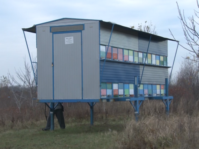 Pčelarsko gazdinstvo Milutinović Pčelarsko gazdinstvo Milutinović