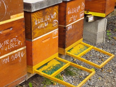 Pčelarstvo Antolčić – tradicija pet generacija