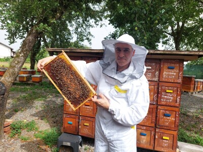 Pčelarstvo Antolčić – tradicija pet generacija
