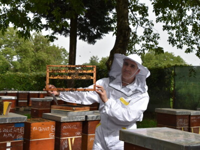 Pčelarstvo Antolčić – tradicija pet generacija