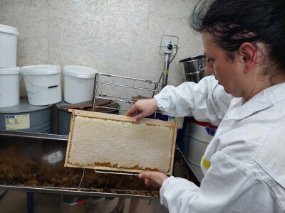 Pčelarstvo Antolčić – tradicija pet generacija