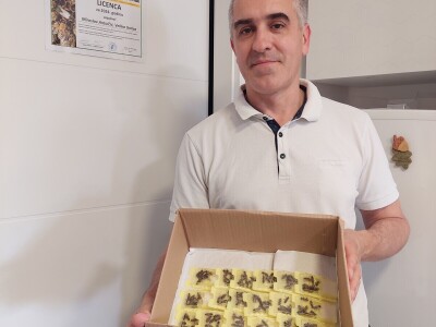 Pčelarstvo Antolčić – tradicija pet generacija