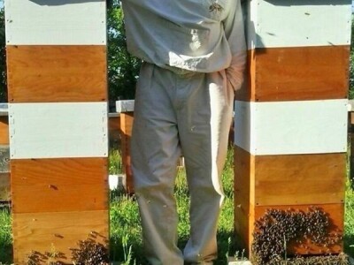 Pčelarstvo Bajović Pčelarstvo Bajović