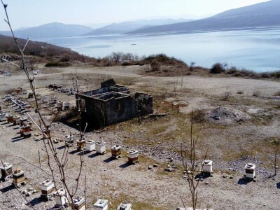 Pčelarstvo Bajović Pčelarstvo Bajović