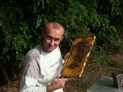 Pčelarstvo Barać