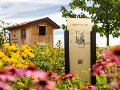 Pčelarstvo Cesar iz Razvanja kod Maribora