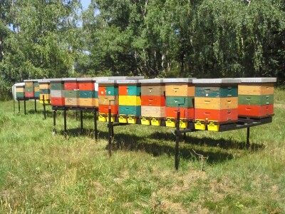 Pčelarstvo Cesar iz Razvanja kod Maribora