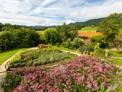 Pčelarstvo Cesar iz Razvanja kod Maribora
