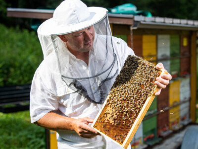 Pčelarstvo Cesar iz Razvanja kod Maribora