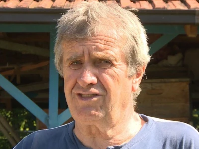 Pčelarstvo i malinarstvo