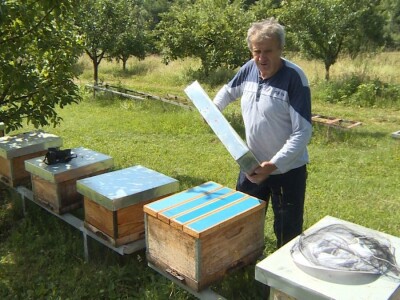 Pčelarstvo i malinarstvo Pčelarstvo i malinarstvo