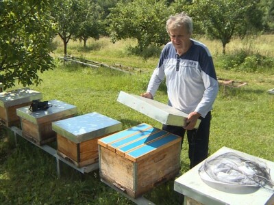 Pčelarstvo i malinarstvo Pčelarstvo i malinarstvo