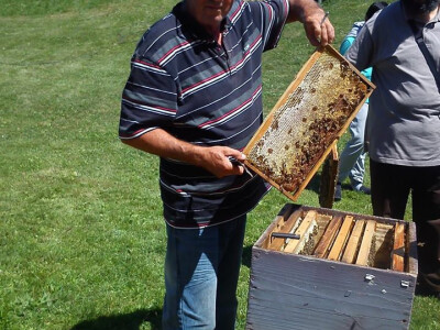 Pčelarstvo Karahodžić 5