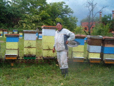 Pčelarstvo Karahodžić 2