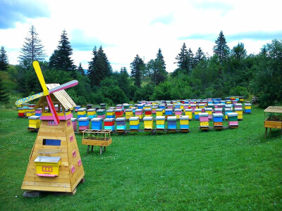 Pčelarstvo Karahodžić 3