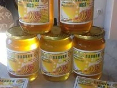 Pčelarstvo Mujabašić