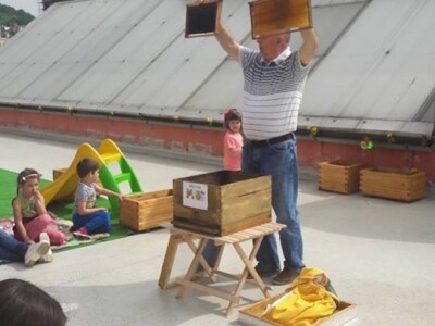 Pčelarstvo Mujabašić Pčelarstvo Mujabašić