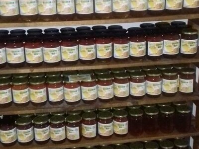 Pčelarstvo Mujabašić Pčelarstvo Mujabašić