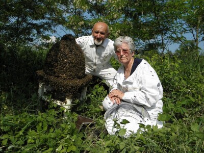 Pčelarstvo OPG Miroslav Antolčić