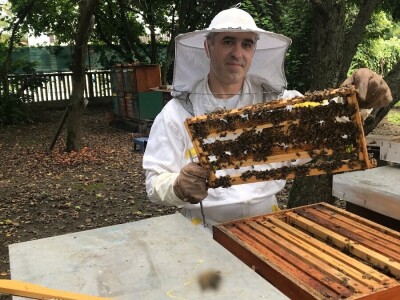 Pčelarstvo OPG Miroslav Antolčić