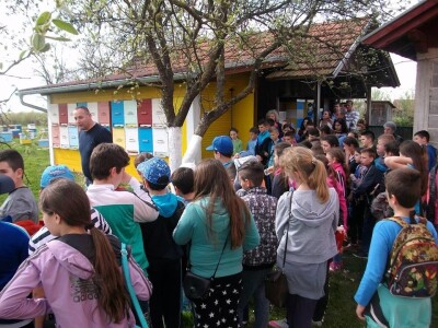 Pčelarstvo Radivojac