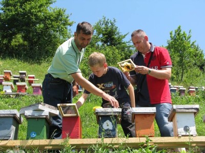 Pčelarstvo Radivojac