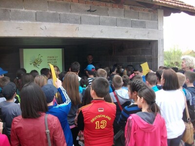 Pčelarstvo Radivojac