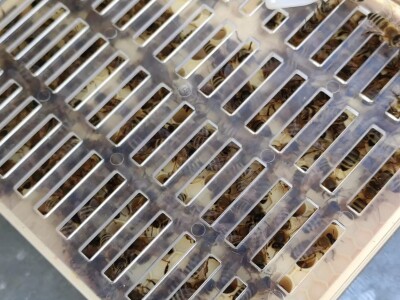 Pčelarstvo u Norveškoj se ne razlikuje puno od našeg, ali je bolje organizovano