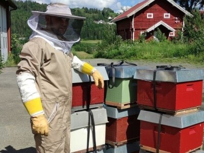 Pčelarstvo u Norveškoj se ne razlikuje puno od našeg, ali je bolje organizovano