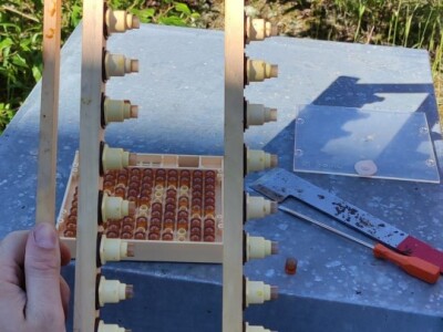 Pčelarstvo u Norveškoj se ne razlikuje puno od našeg, ali je bolje organizovano