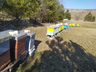 Pčelaru iz Tomislavgrada stradalo više od 50 košnica