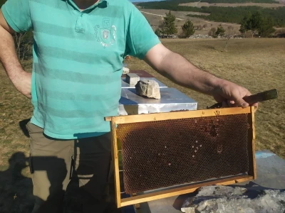 Pčelaru iz Tomislavgrada stradalo više od 50 košnica